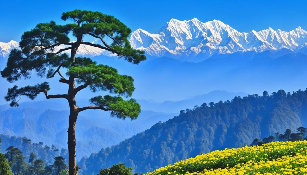 kausani view of famous peaks