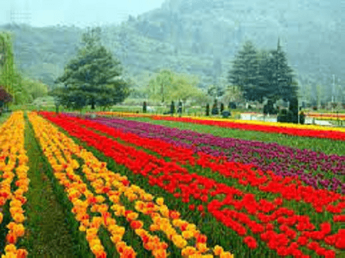 places to visit in jammu and kashmir