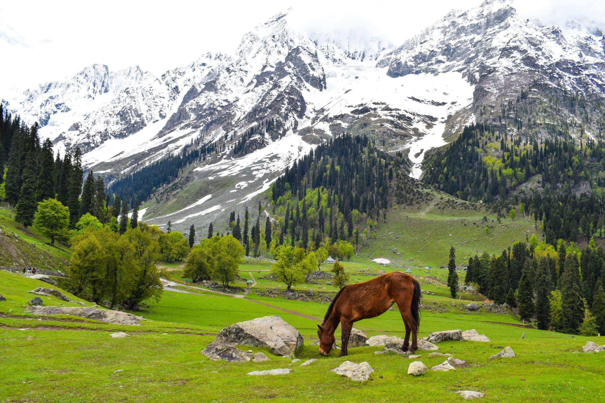 places to visit in jammu and kashmir