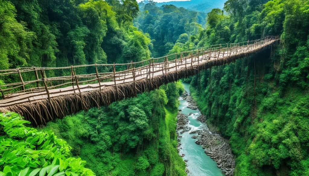 Mawlynnong Village Living Root Bridges