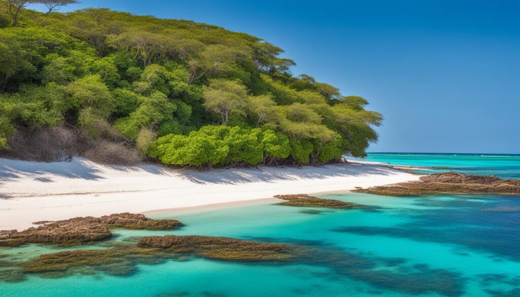 Malindi Marine National Park
