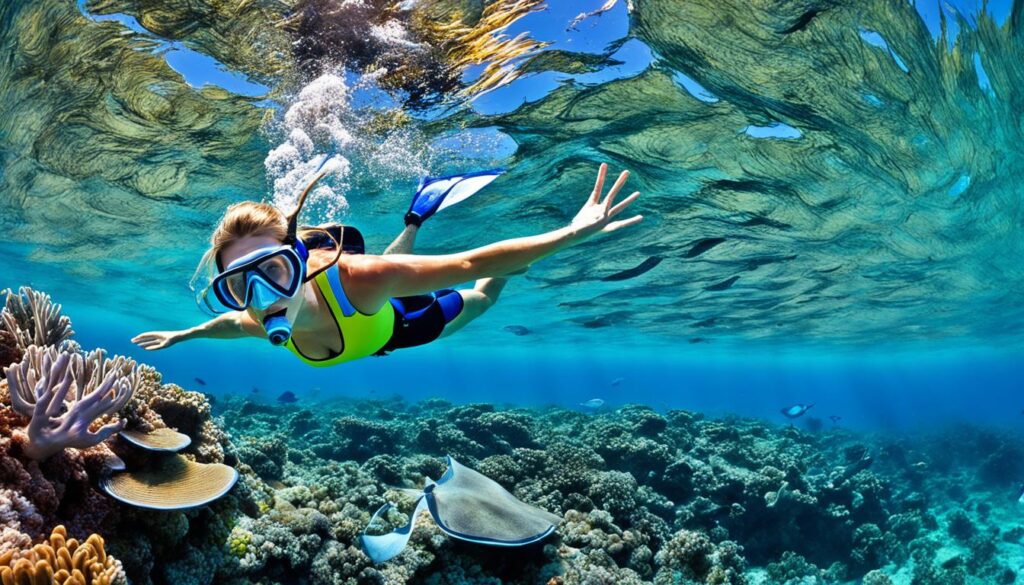 Snorkeling in New South Wales