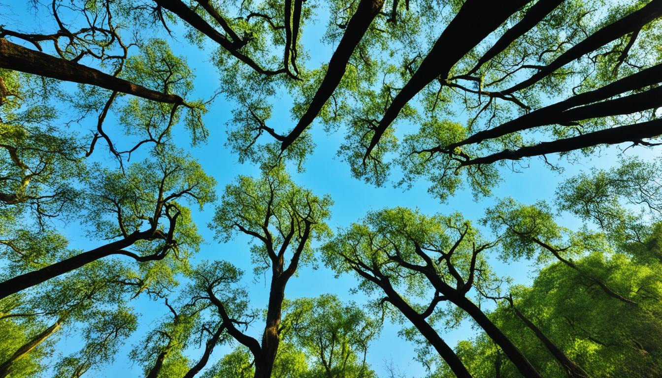 bardia national park