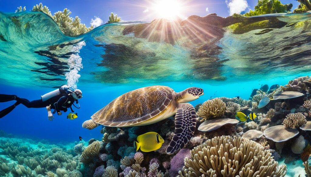 snorkeling in Seychelles